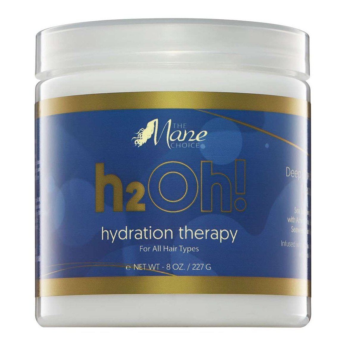 Mane Choice H2Oh Hydration Therapy Hair Masque Mane Choice H2Oh Hydration Therapy Hair Masque